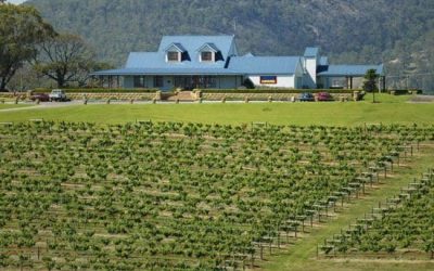 How New Era helped Agnew Wines Overcome Difficulties Working In Remote Location