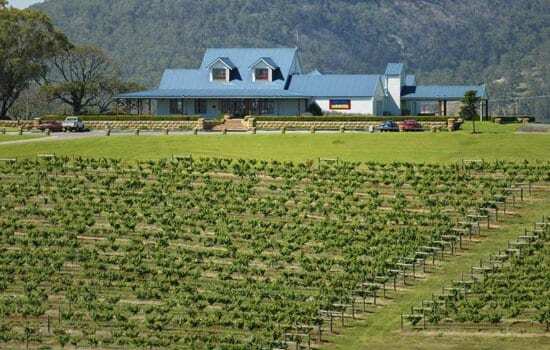 New Era helped Agnew Wines