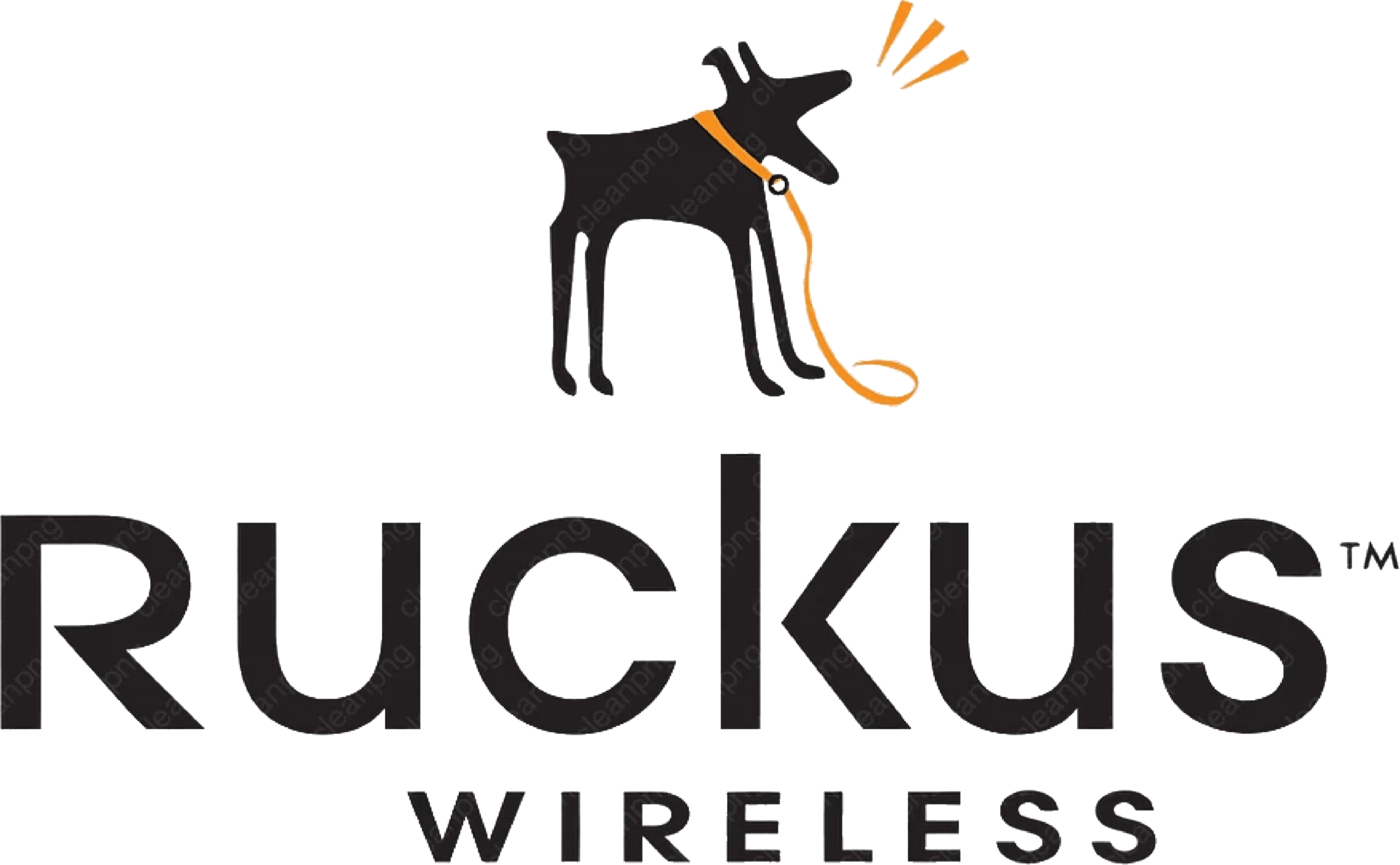 NZ-Partner-Ruckus