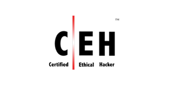 certificate-template_0005_CEH-2