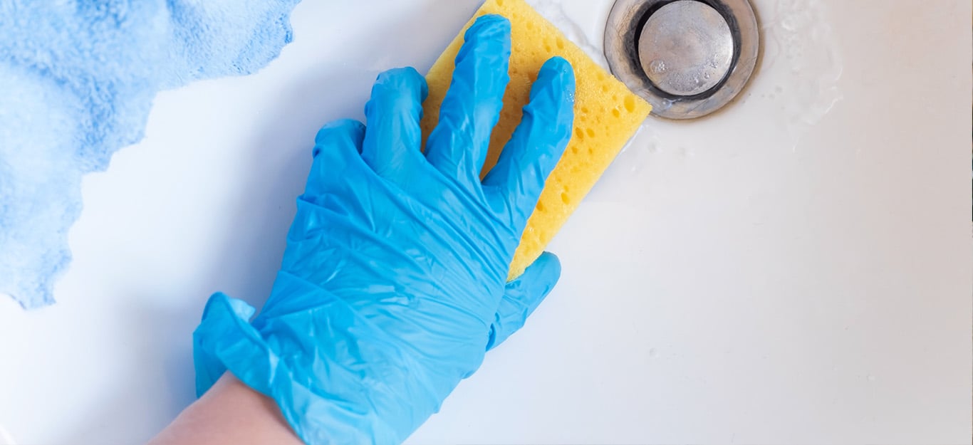 Dynamics Licensing Assessment