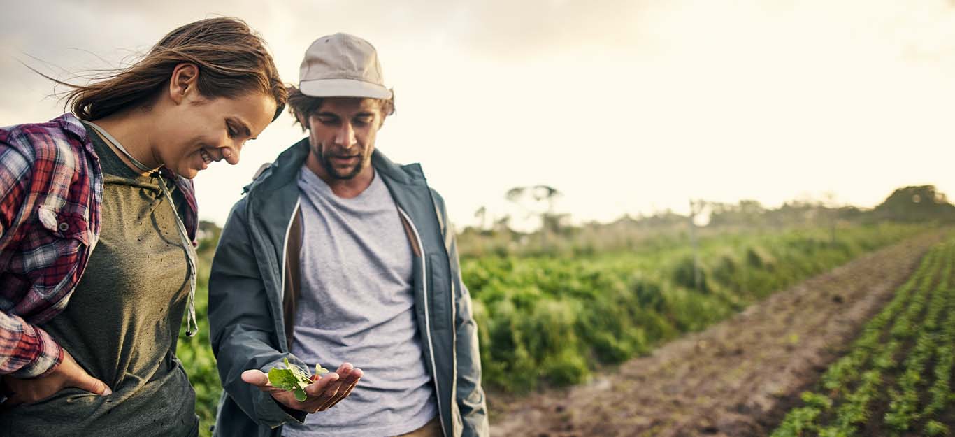 Improve Employee Experience