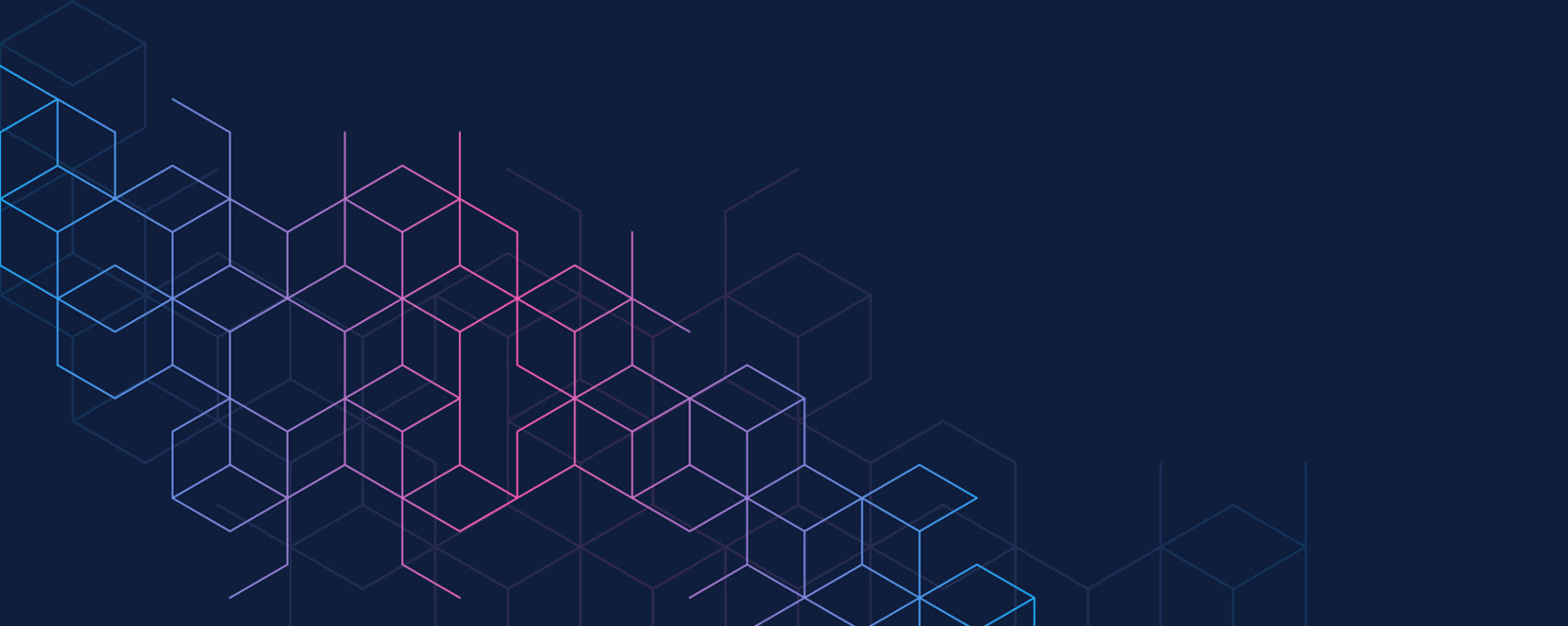 eCommerce Website Transformation