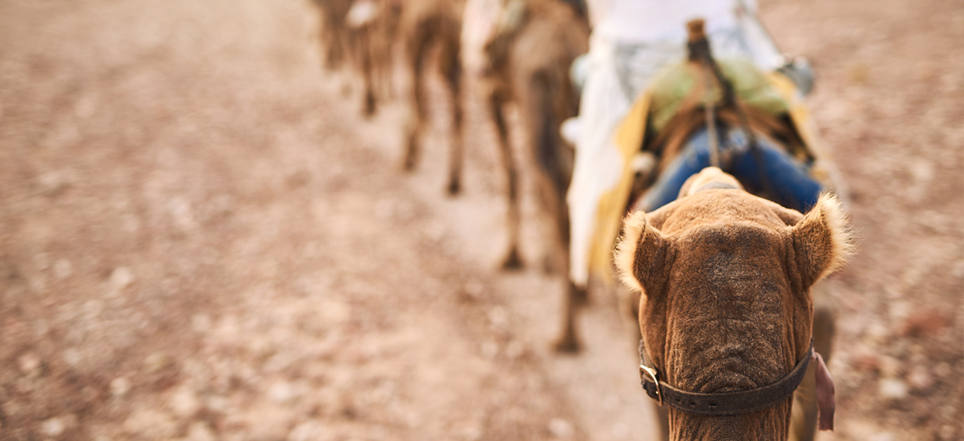 digital transformation roadmap