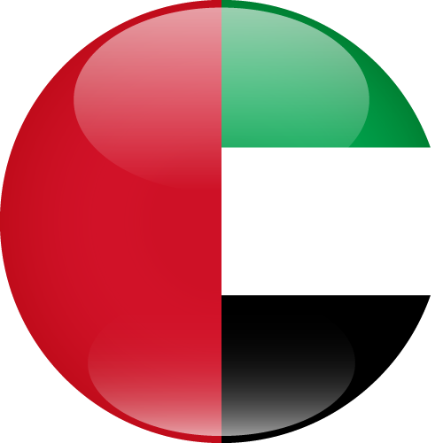 UAE flag icon