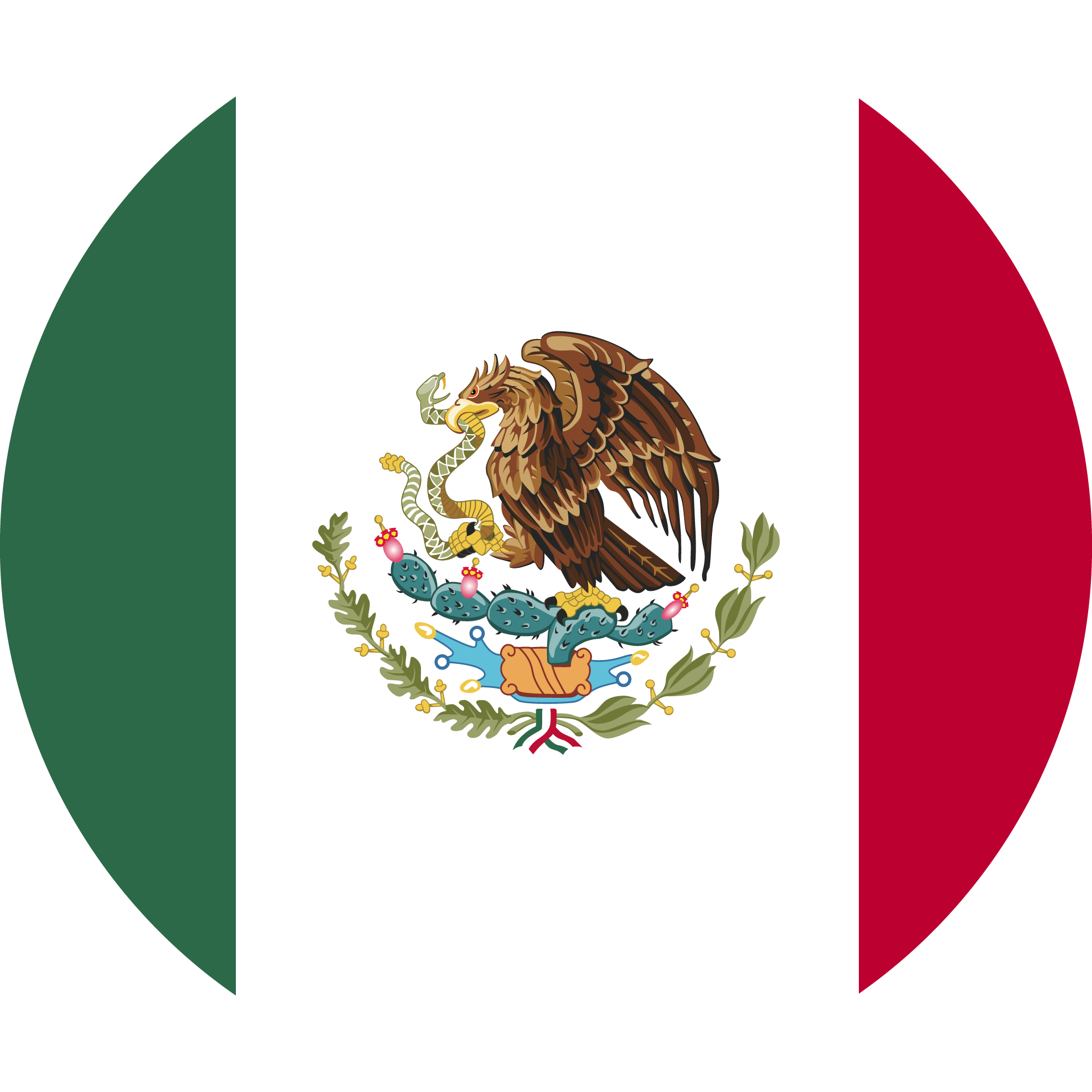 LATAM Flag