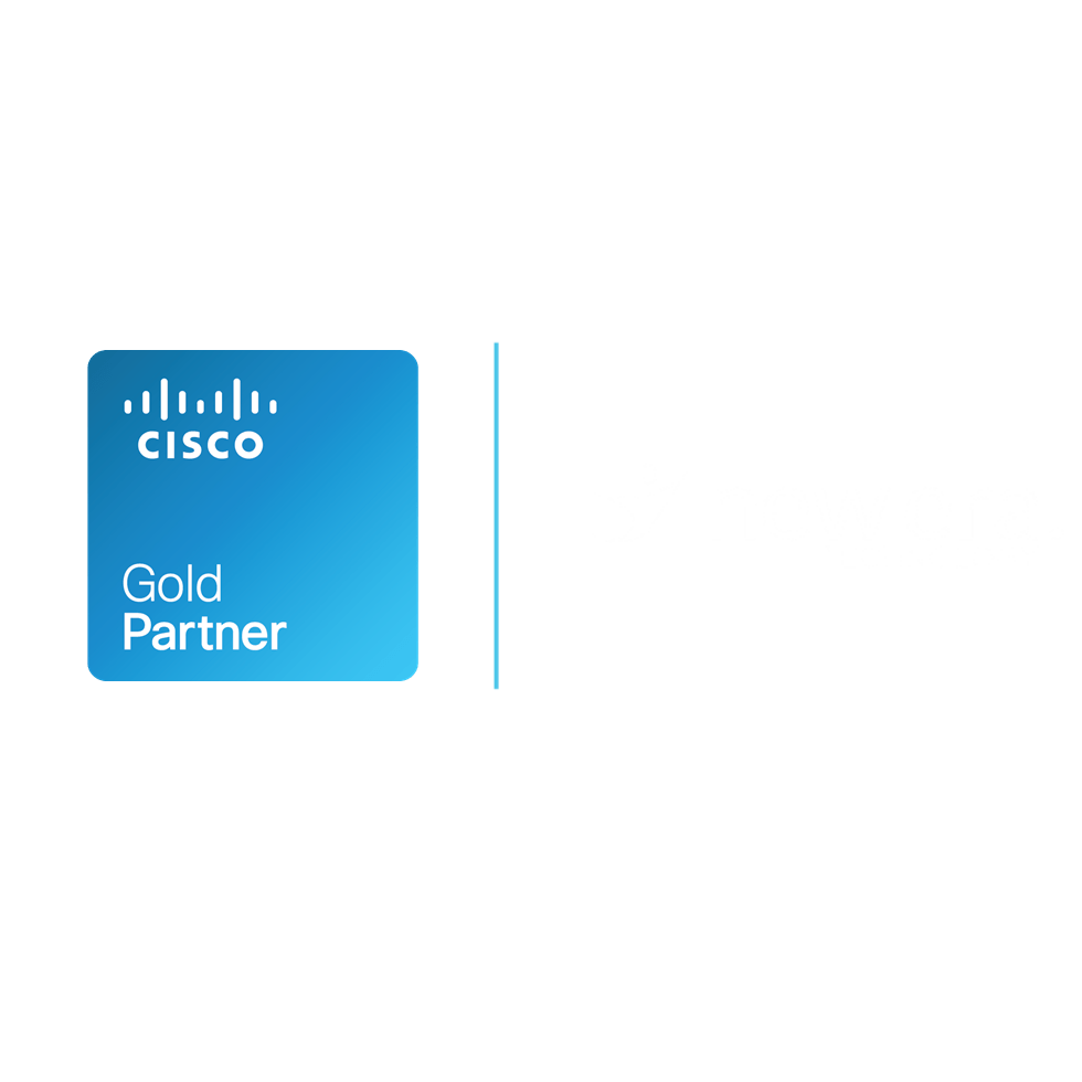 cisco gold parter with newera cisco partner logo